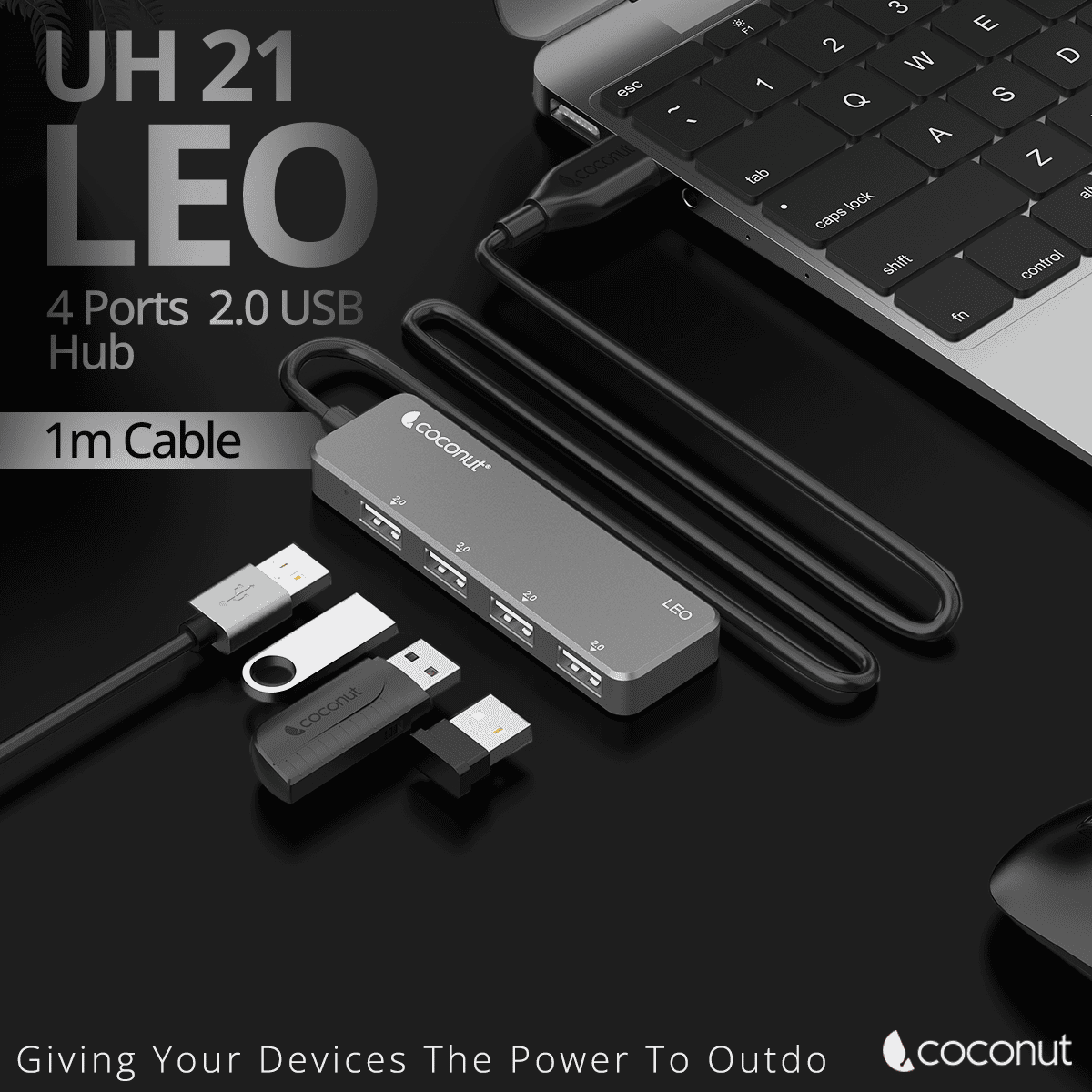 UH21 Leo 4-Port USB 2.0 Hub with 1M Cable for seamless connectivity